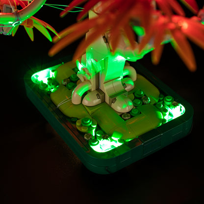 10348-Japanese-Red-Maple-Bonsai-Tree-Detail1