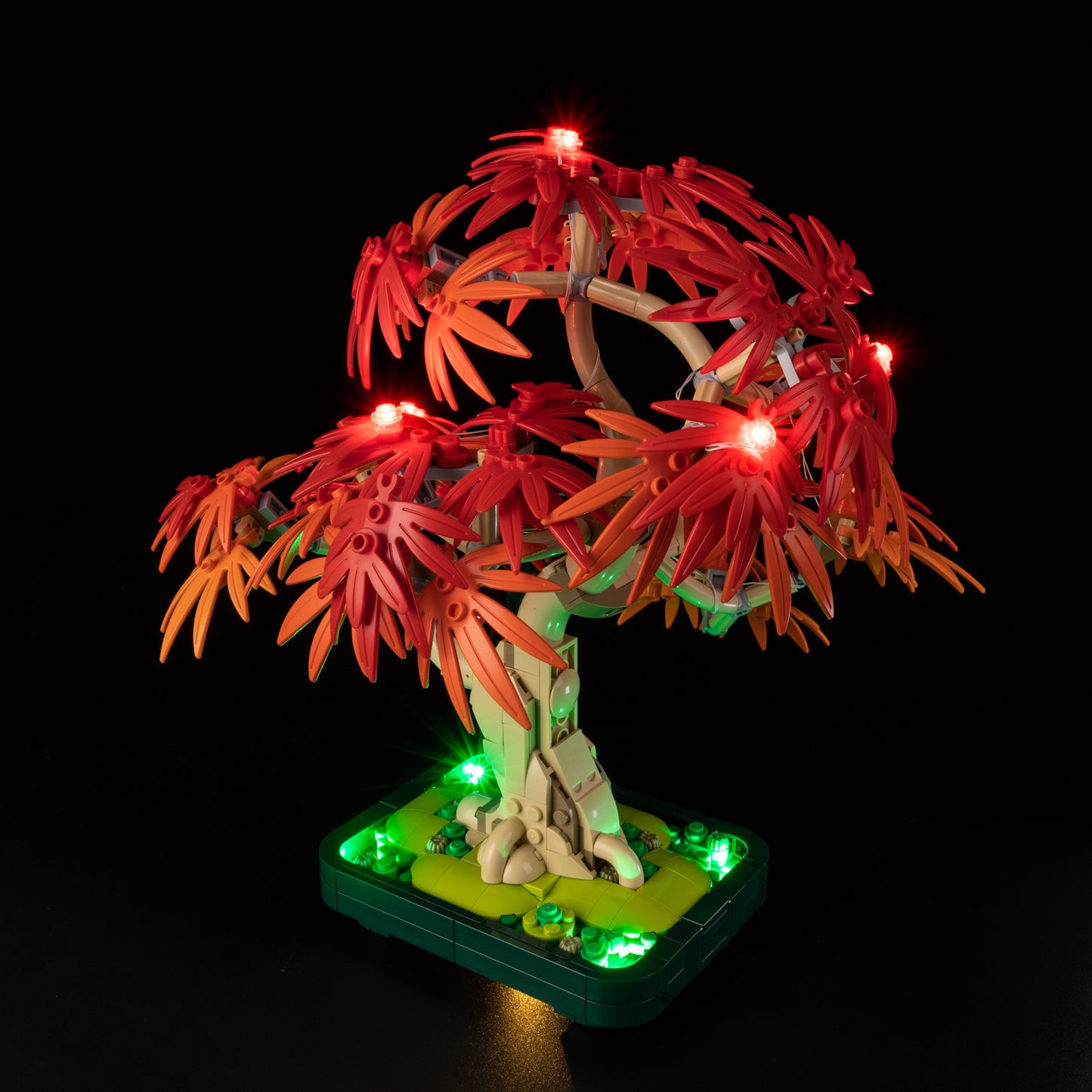 10348-Japanese-Red-Maple-Bonsai-Tree-Detail6