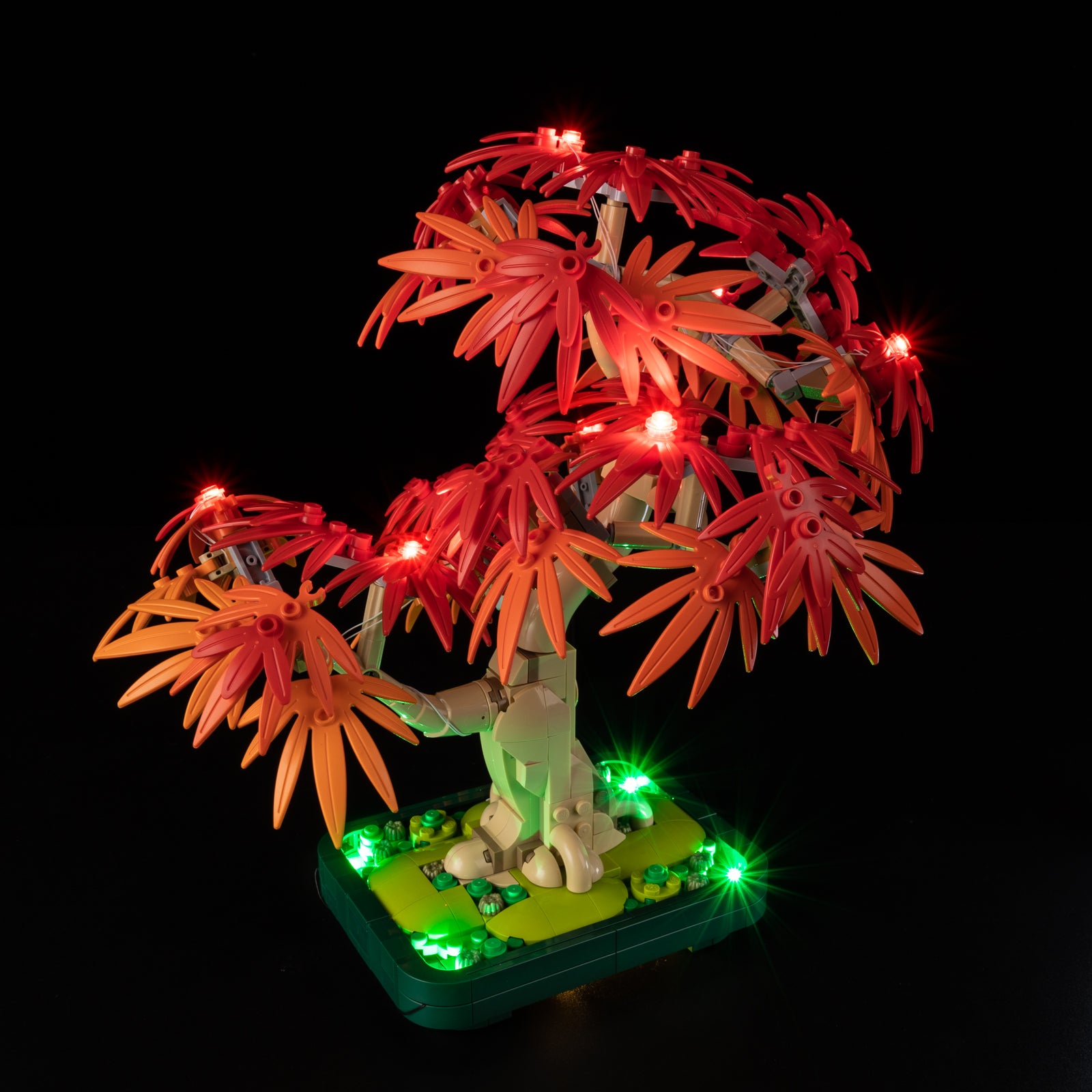 10348-Japanese-Red-Maple-Bonsai-Tree-Detail7