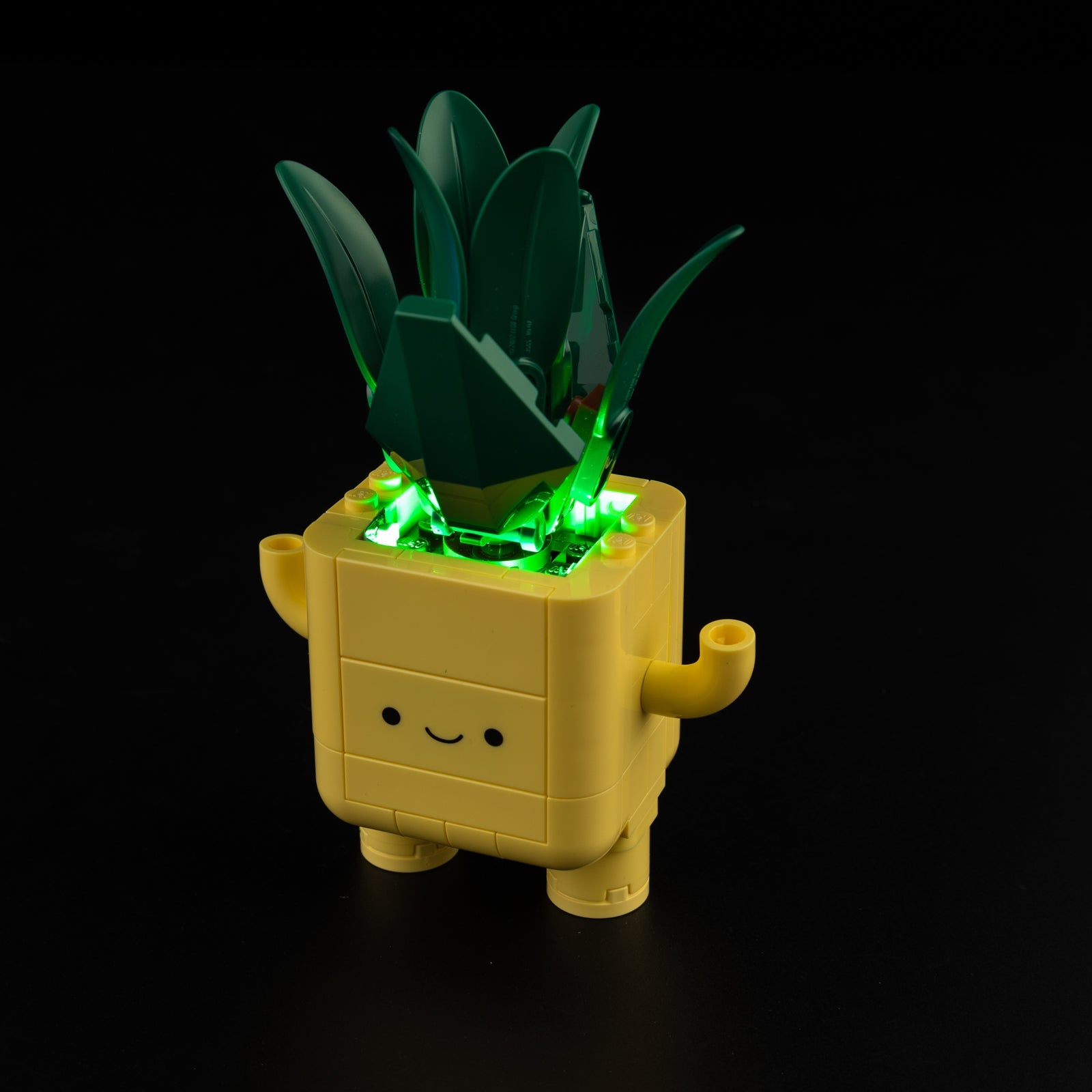 Light Kit For LEGO Happy Plants 10349 - Gallery Image 4