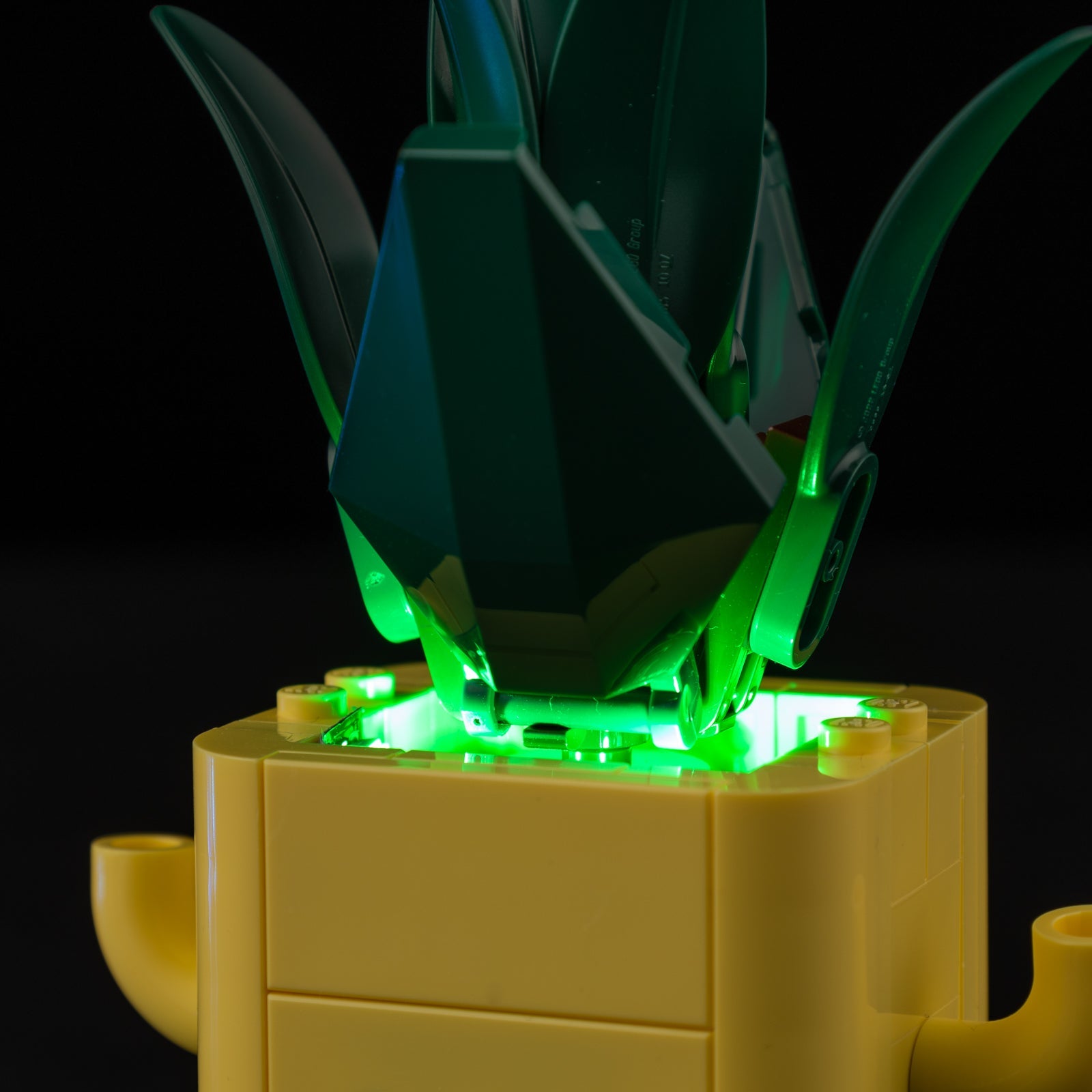 Light Kit For LEGO Happy Plants 10349 - Gallery Image 5