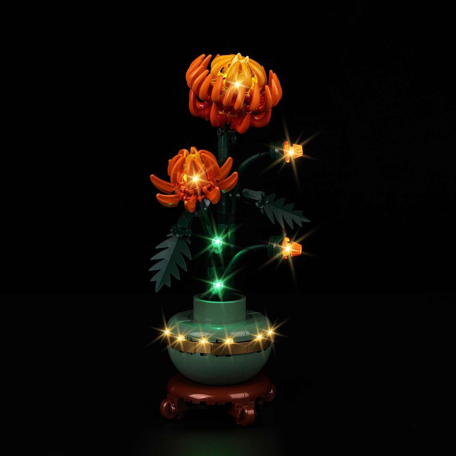 10368-Chrysanthemum-Light2.jpg