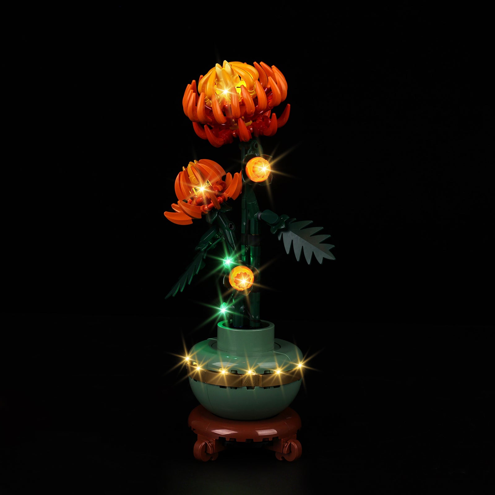 10368-Chrysanthemum-Light3.jpg