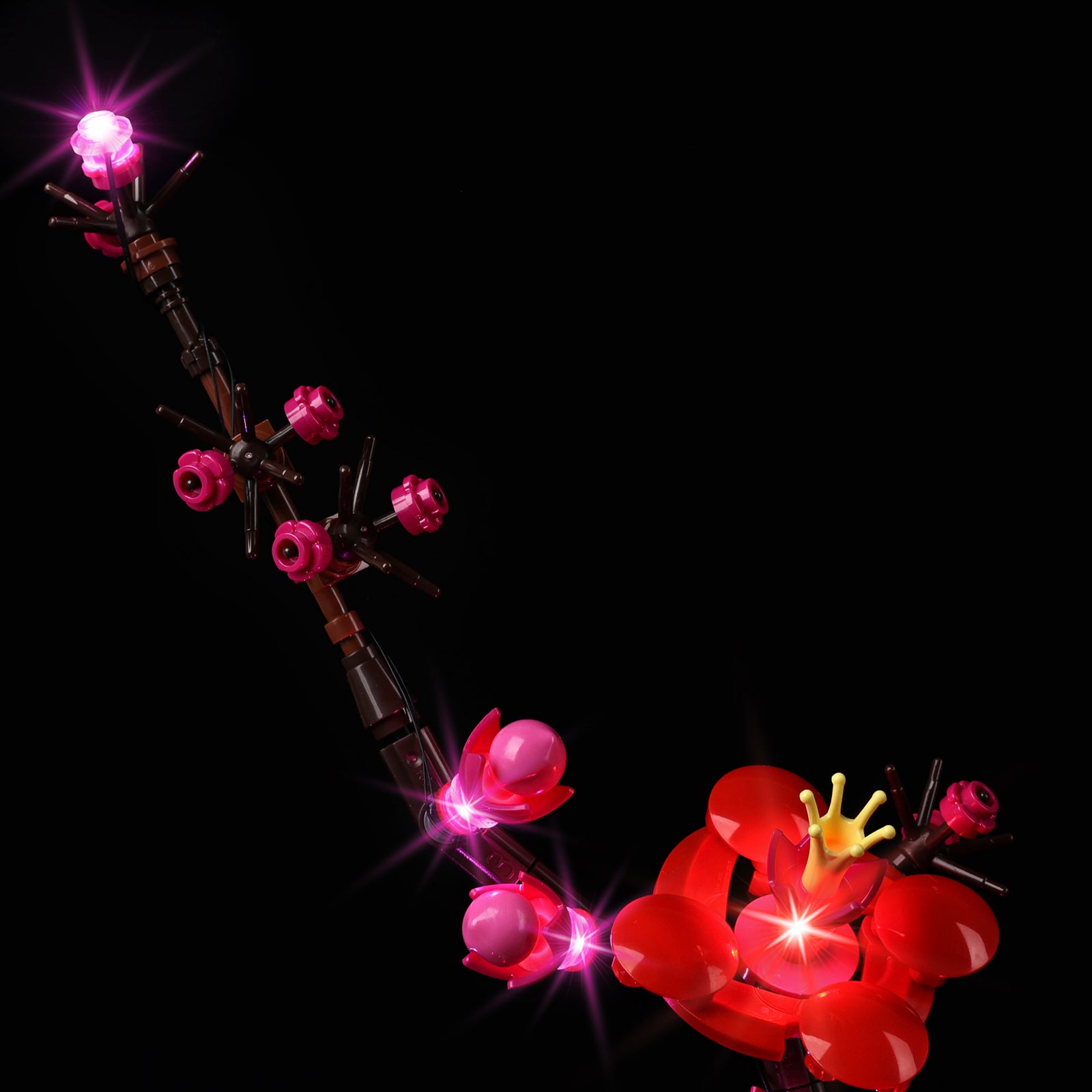 10369-Plum-Blossom-Detail Light3.jpg