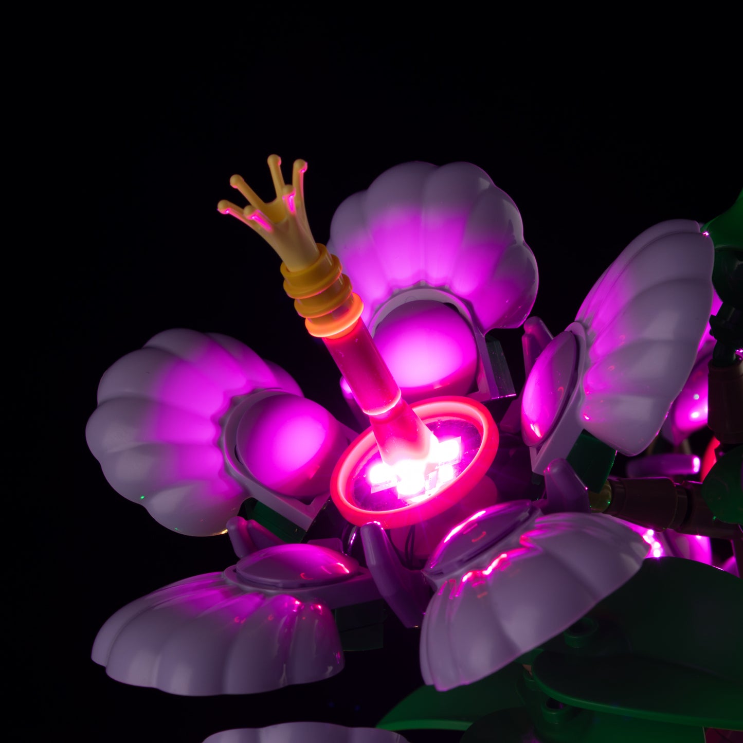10372-Hibiscus-Detail Light1.jpg
