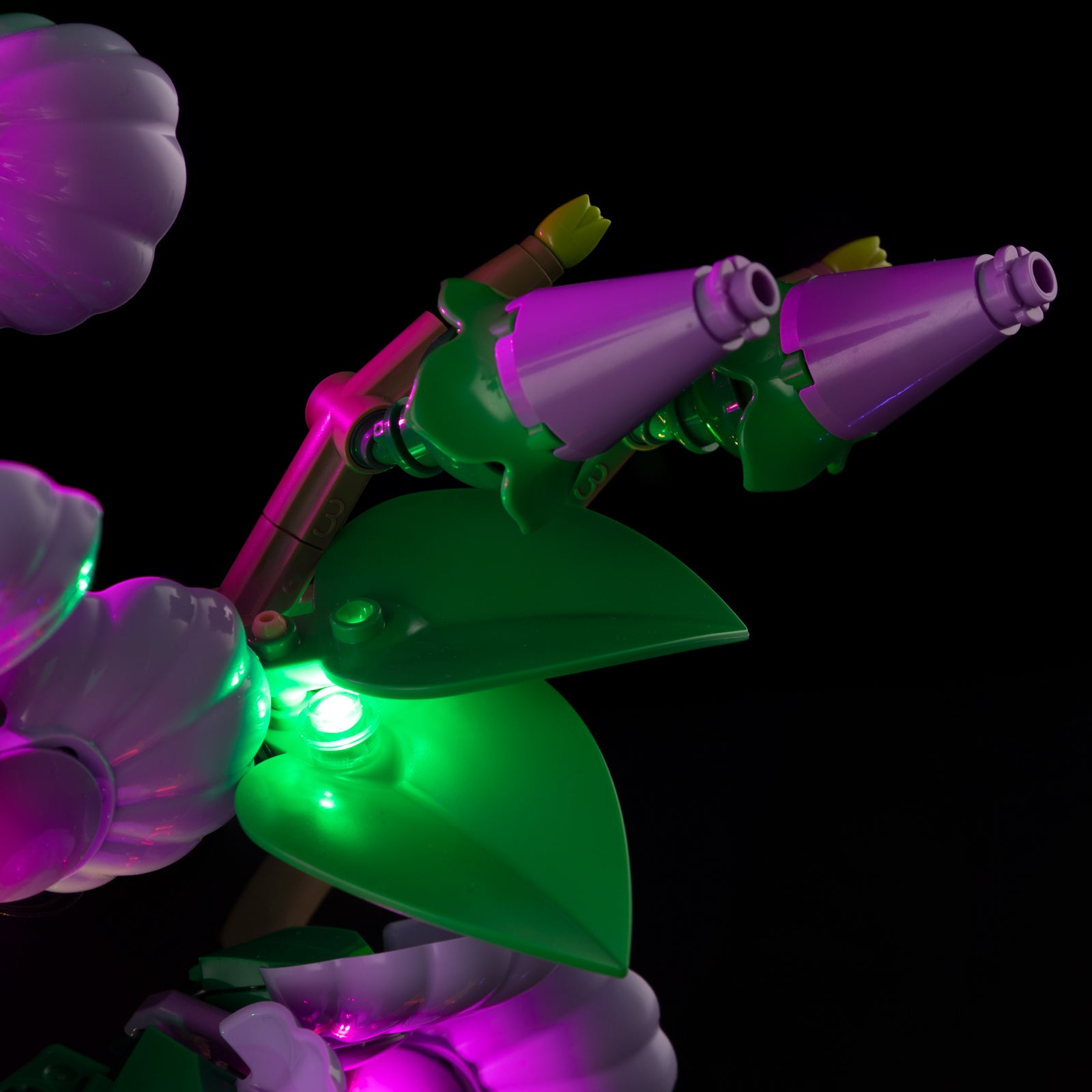 10372-Hibiscus-Detail Light2.jpg
