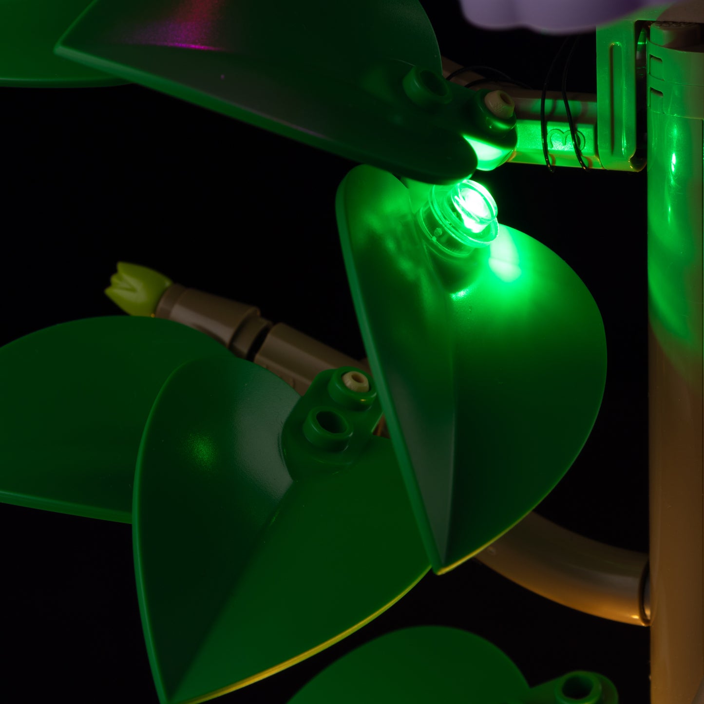 10372-Hibiscus-Detail Light7.jpg