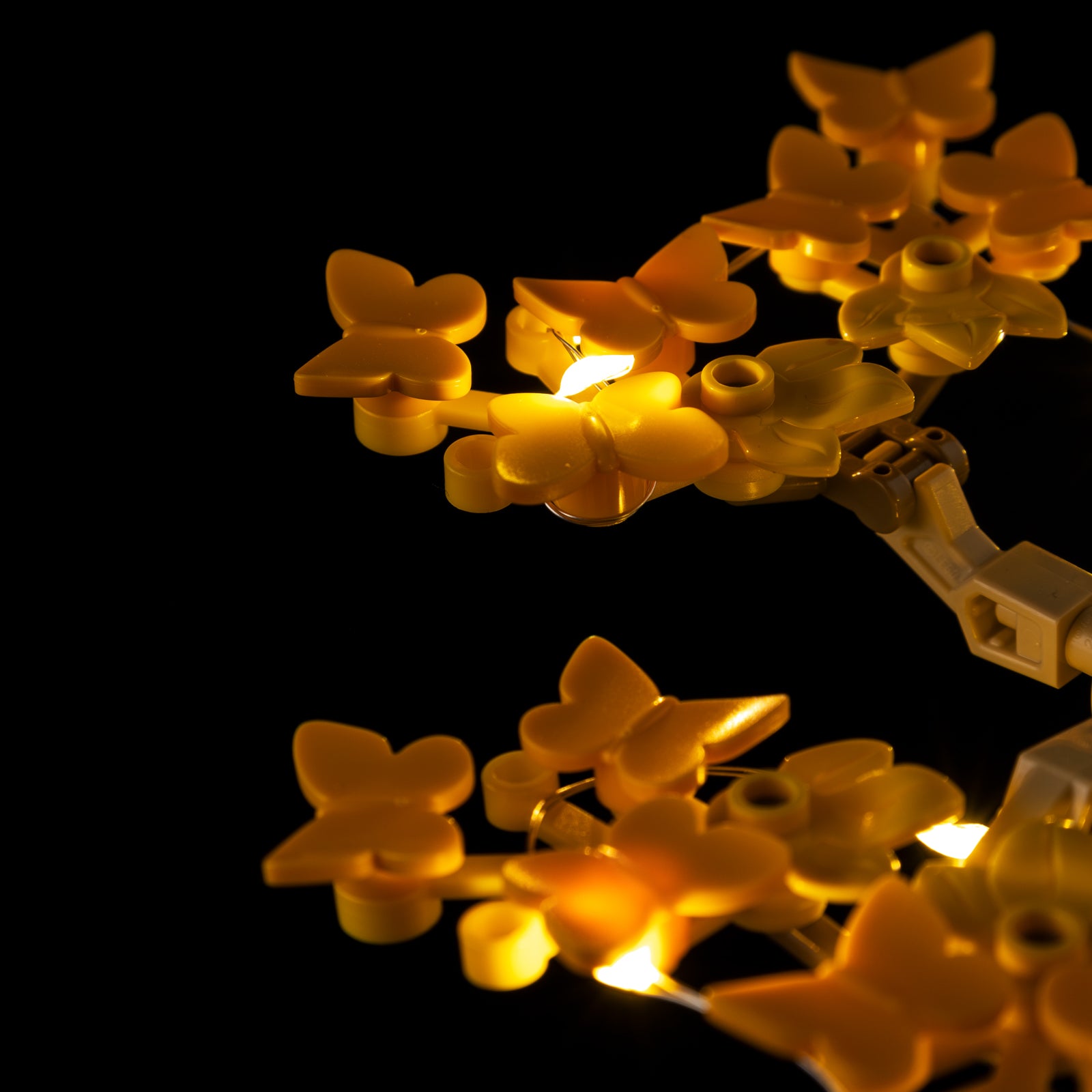 10373-Mini-Bonsai-Trees-Detail Light1.jpg