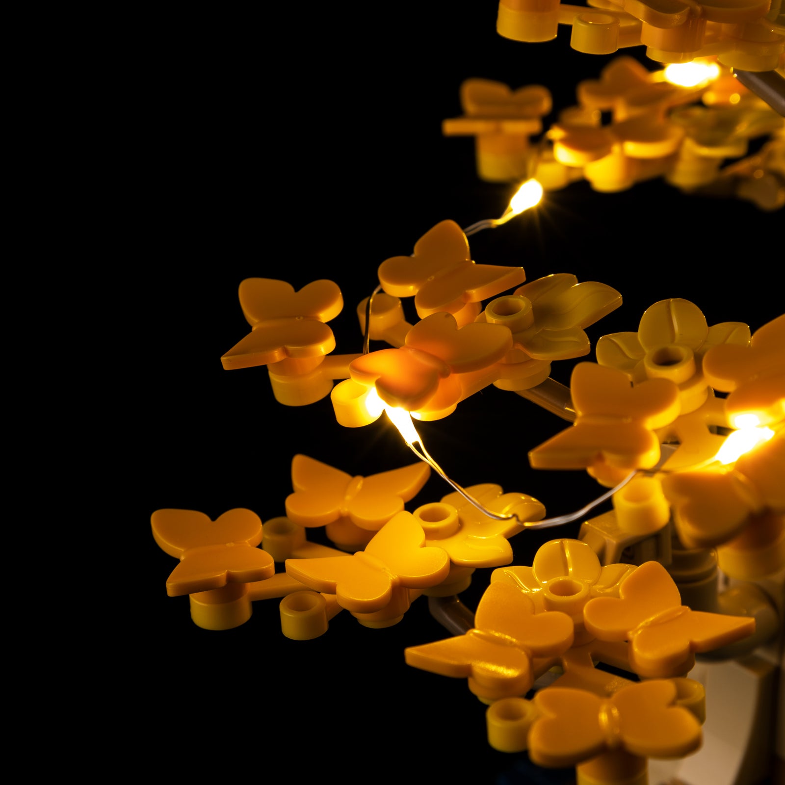 10373-Mini-Bonsai-Trees-Detail Light3.jpg