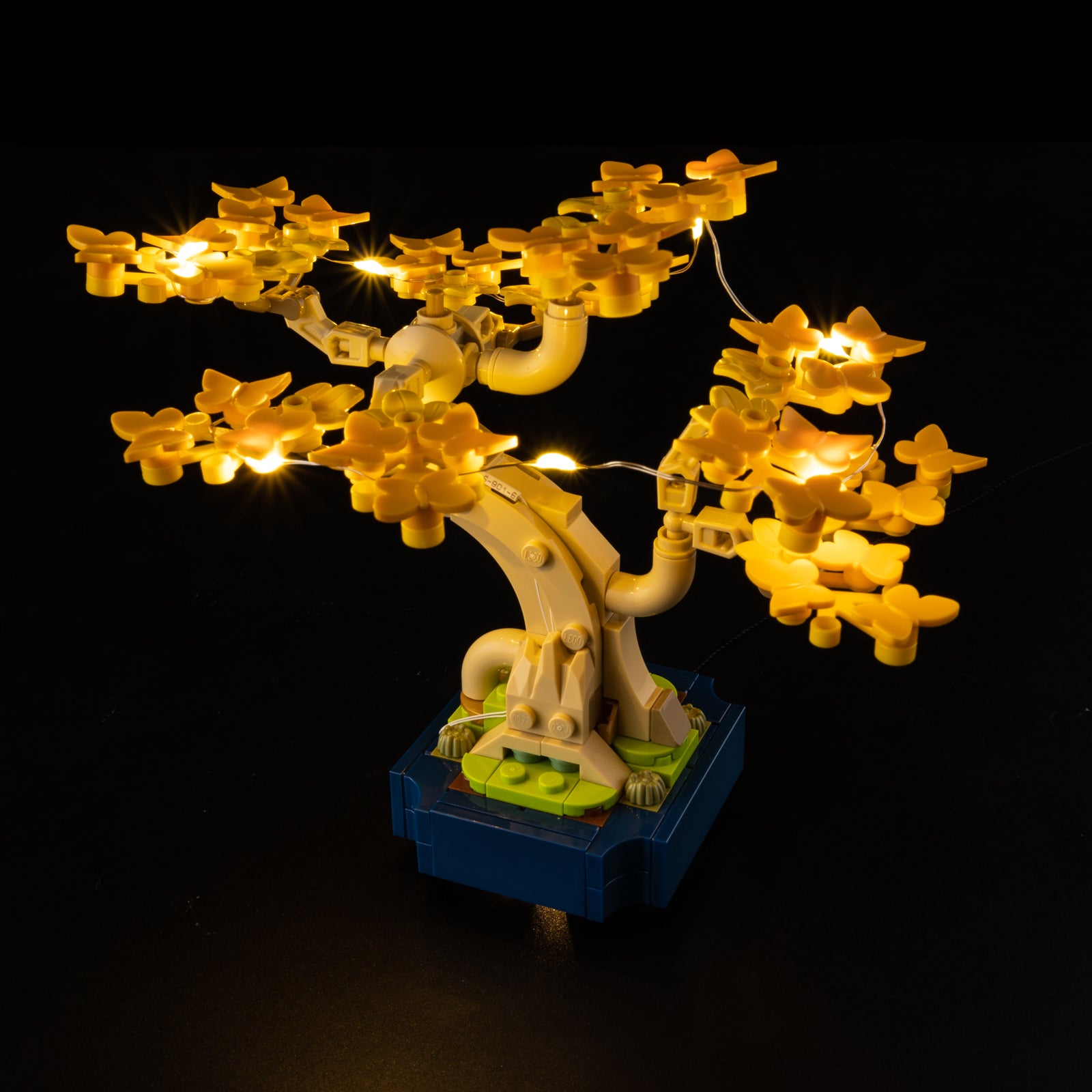10373-Mini-Bonsai-Trees-Light On.jpg