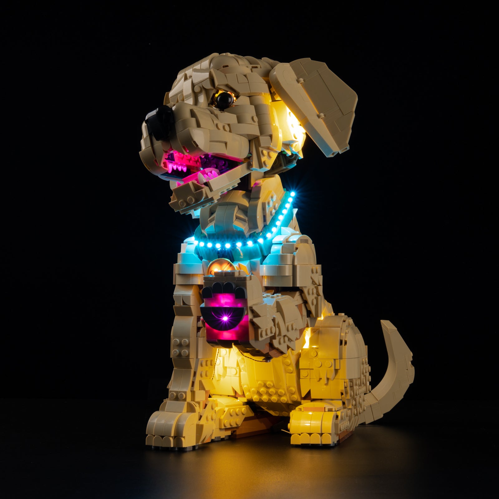 Low angle view of LEGO® Icons Golden Retriever Puppy