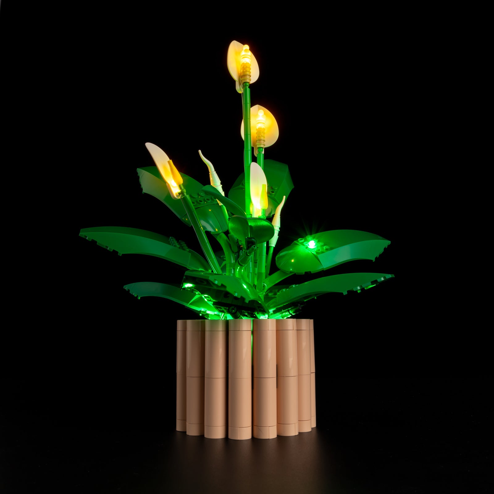 Low angle view of Botanicals Peace Lily