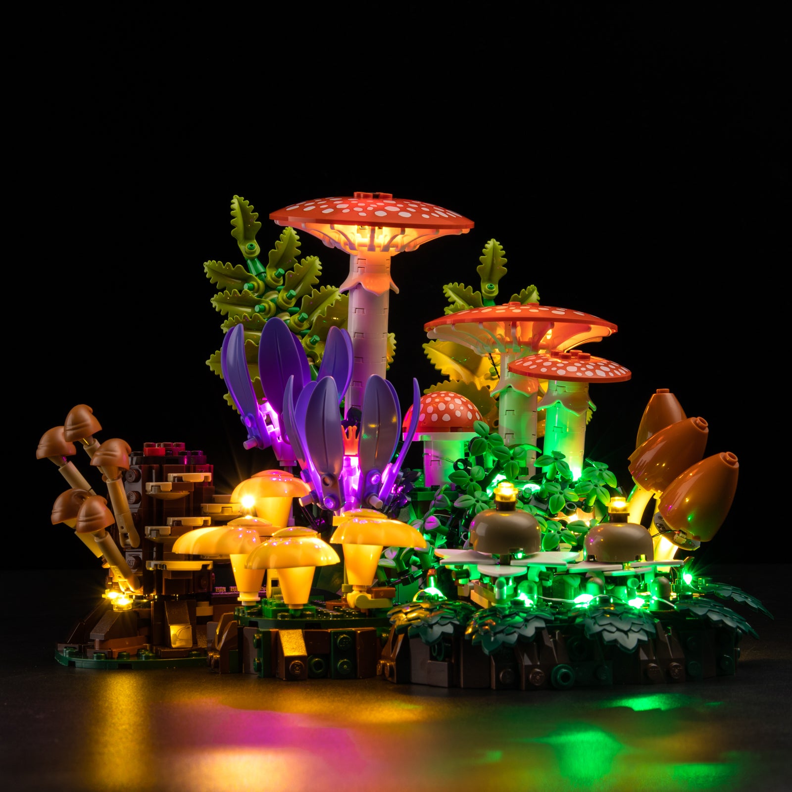 Low angle view of Botanicals Woodland Mushrooms