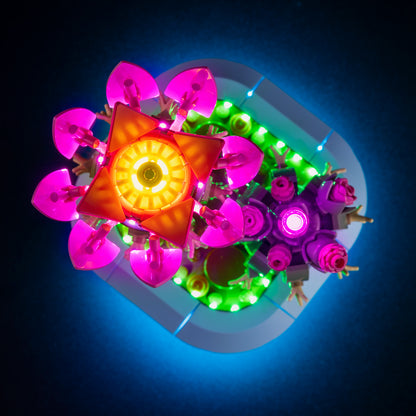 Top view of the Flowering Cactus with lights set