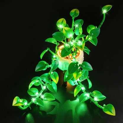 Top view of the Hanging_Golden_Pothos with lights set