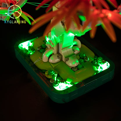 LED Light Kit for Japanese Red Maple Bonsai Tree 10348