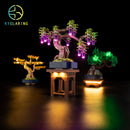 LED Light Kit for Mini Bonsai Trees 10373