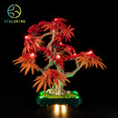 LED Light Kit for Japanese Red Maple Bonsai Tree 10348