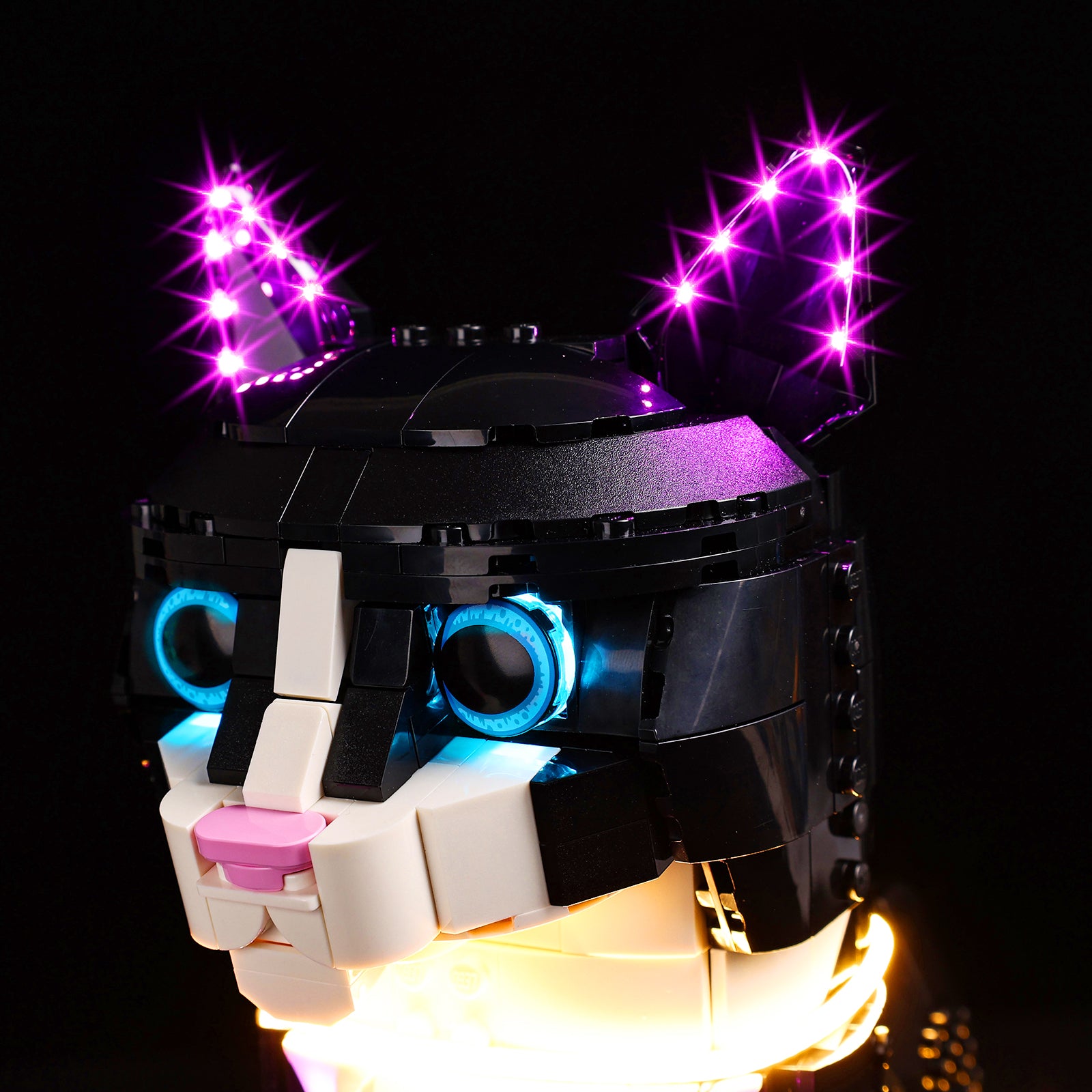 21349-Tuxedo-Cat-Detail Light1.jpg