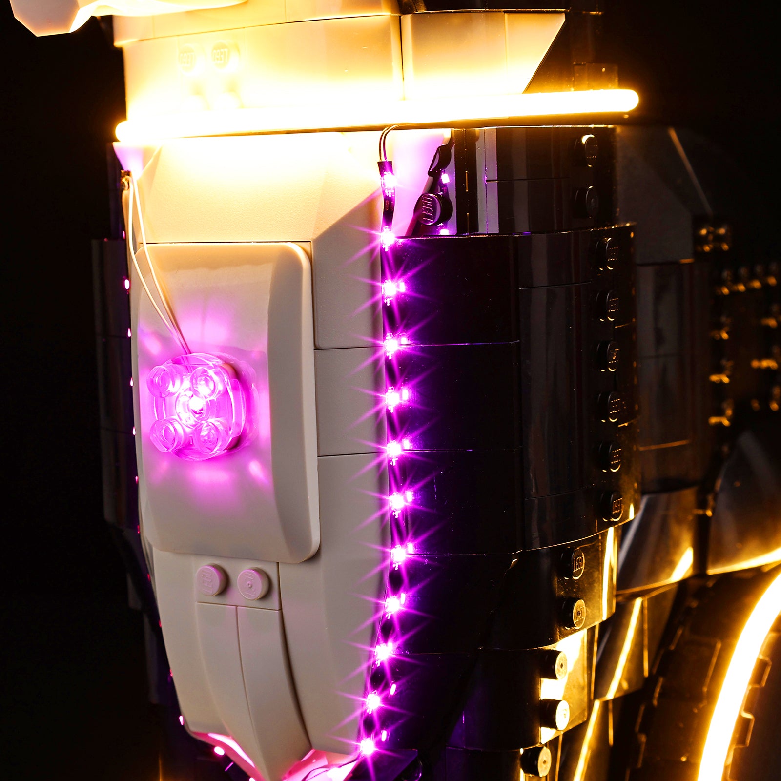21349-Tuxedo-Cat-Detail Light2.jpg