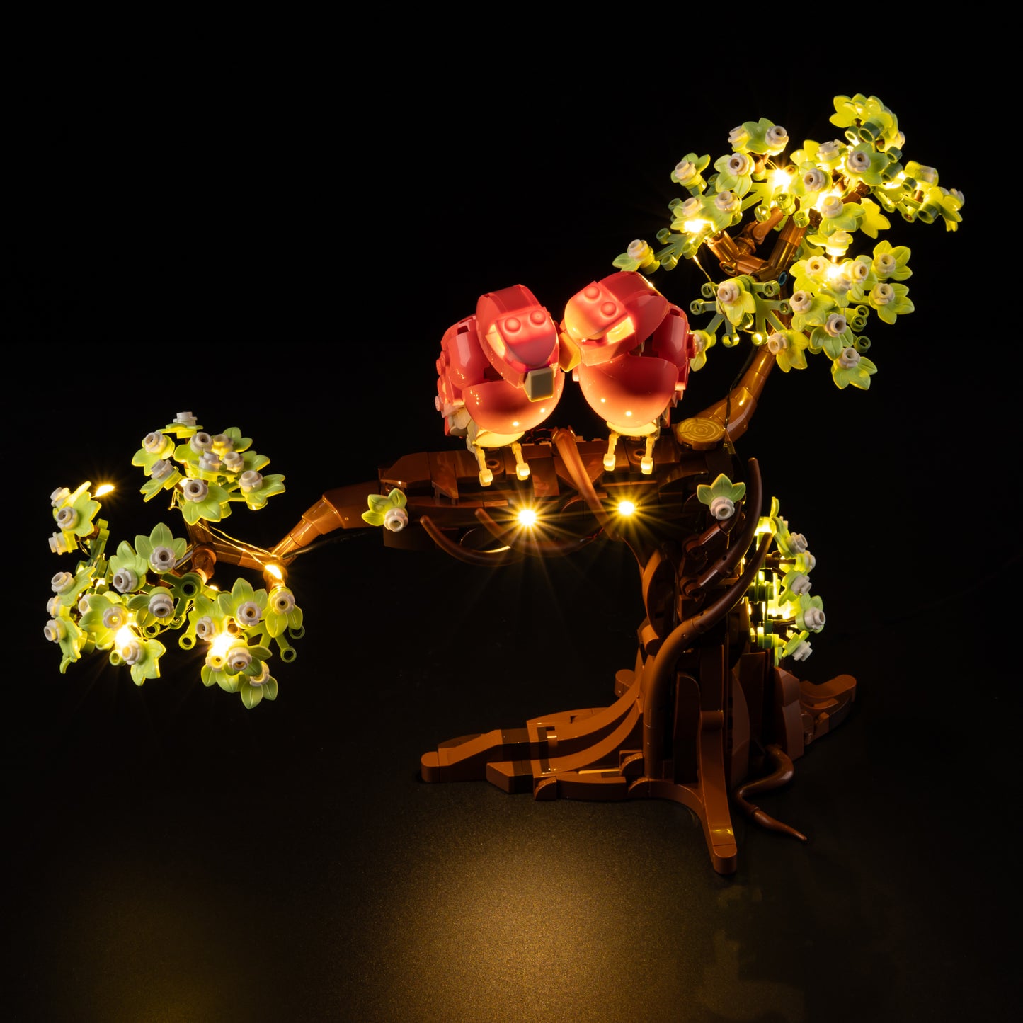 Top view of the Love Birds with lights set