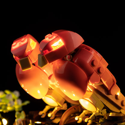 Light Kit For LEGO Love Birds 21365
