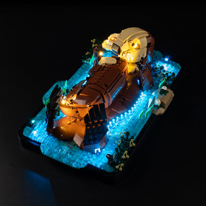 Top view of the Floating Sea Otters with lights set