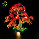 LED Light Kit for Japanese Red Maple Bonsai Tree 10348
