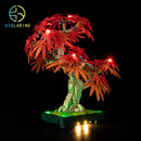 LED Light Kit for Japanese Red Maple Bonsai Tree 10348