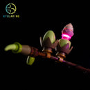 LED Light Kit for Magnolia Branches 11510