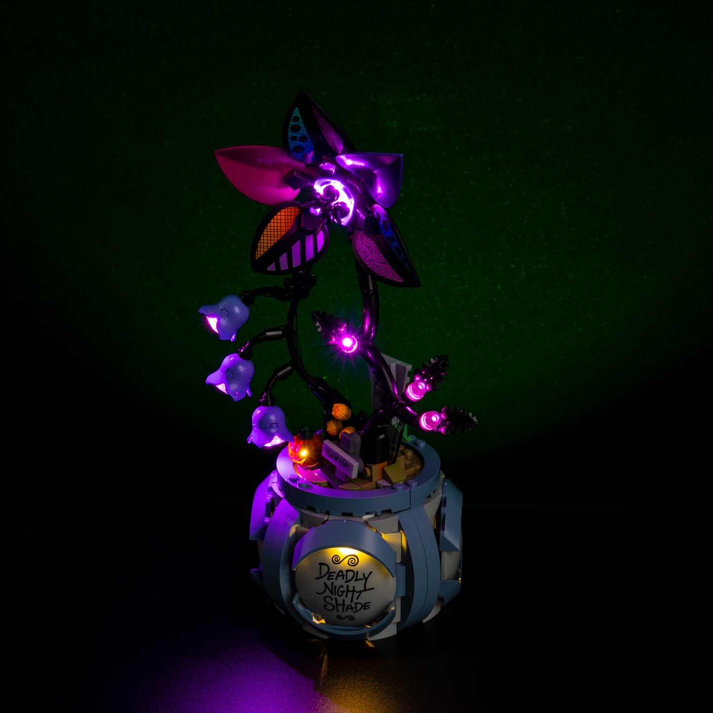 Top view of the Sally's Flowerpot with lights set