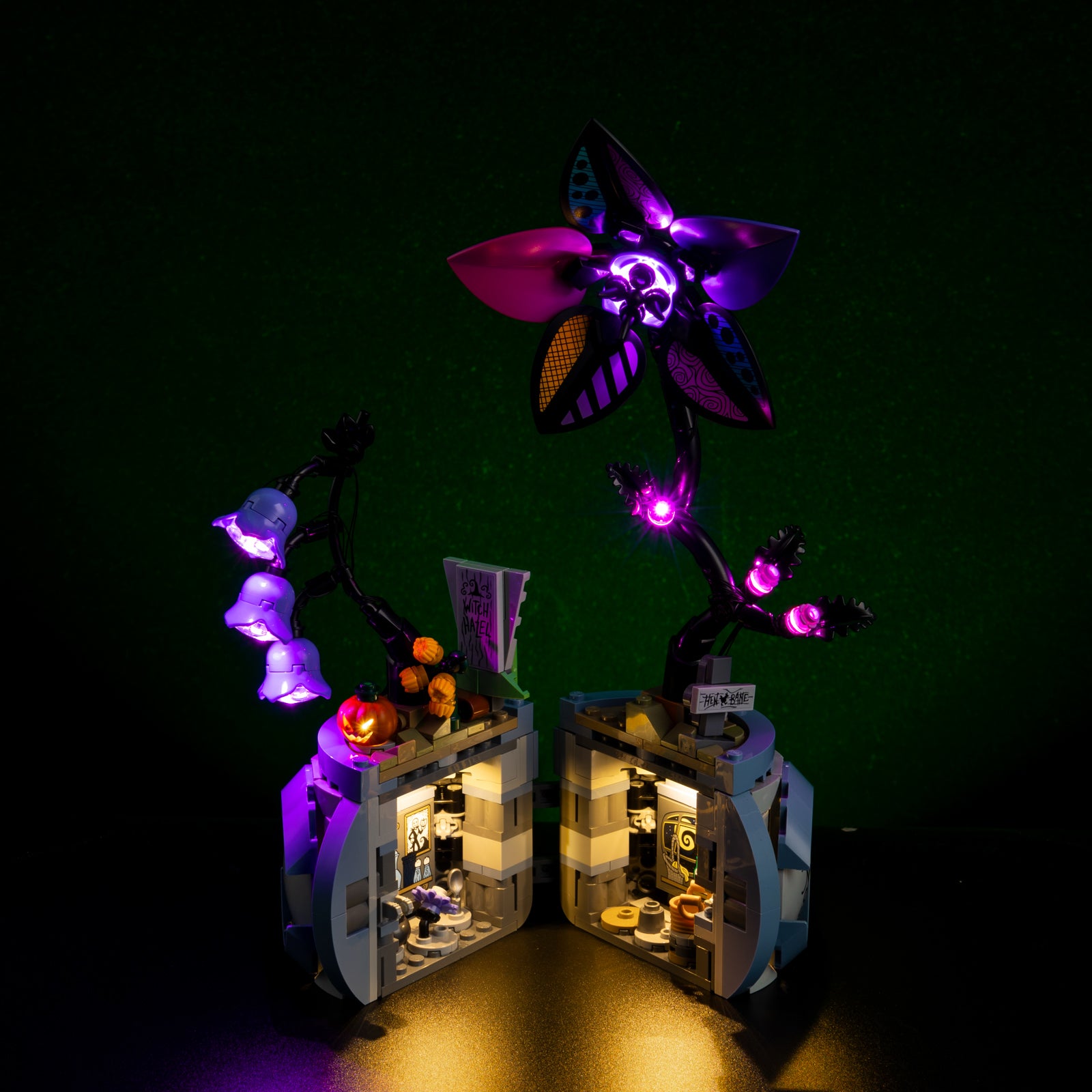 Top Comprehensive display view of the Sally's Flowerpot
