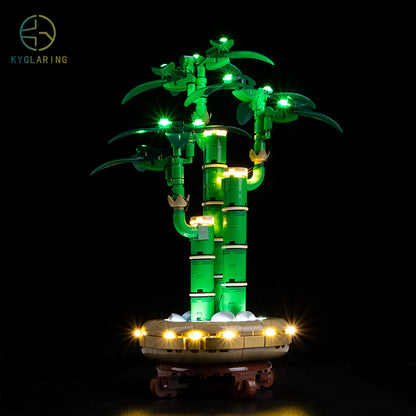 LED Light Kit for Lucky Bamboo 10344