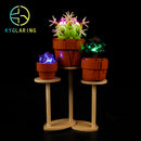 Led Lighting Set for Tiny Plants 10329