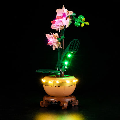 LED Light Kit for Mini Orchid 10343