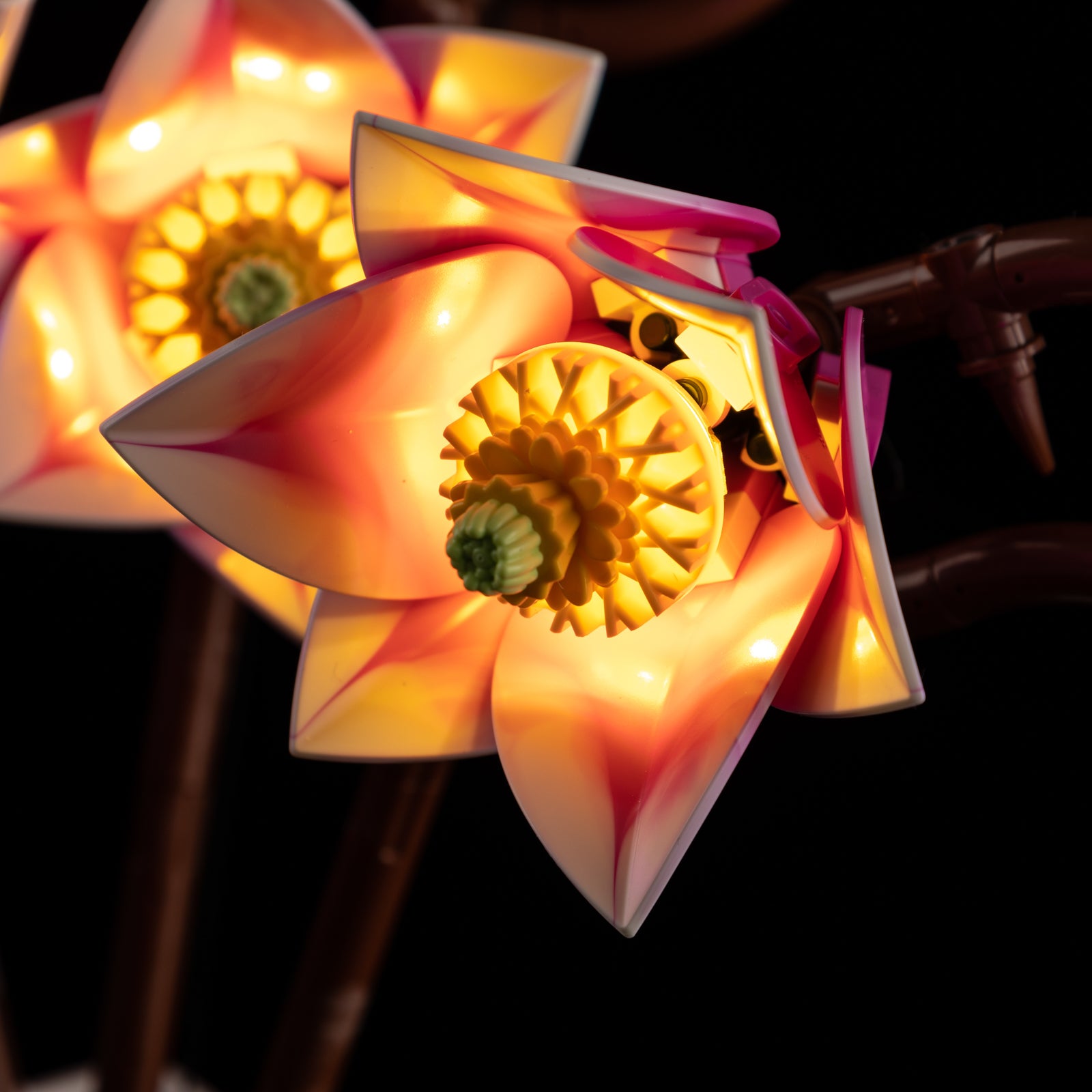 Magnolia Branches Touch Version 11510 - close-up of headlight and front detail