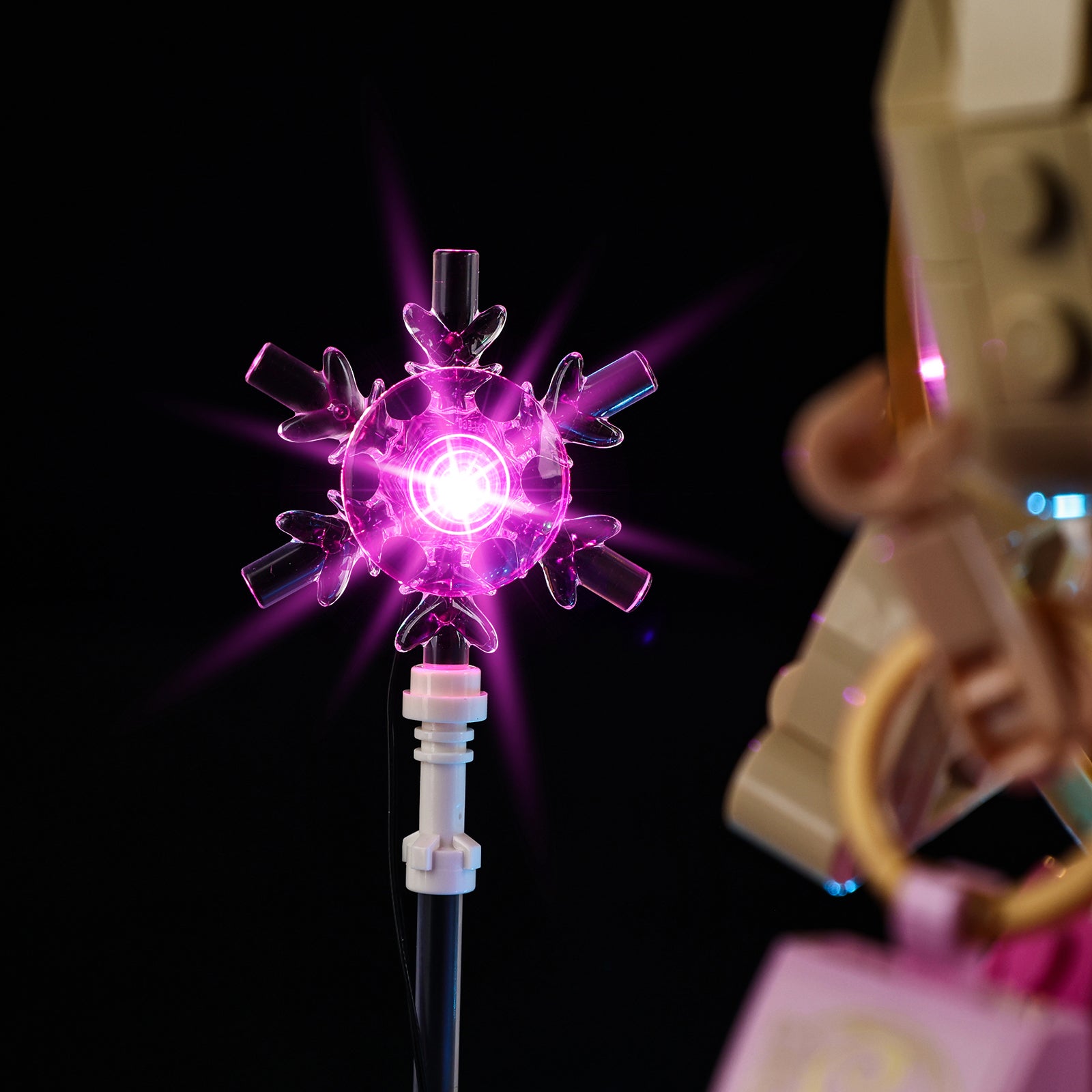 75682 Elphaba Glinda 6 details