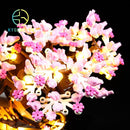 Led Lighting Set for 10281 Creator Expert Bonsai Tree