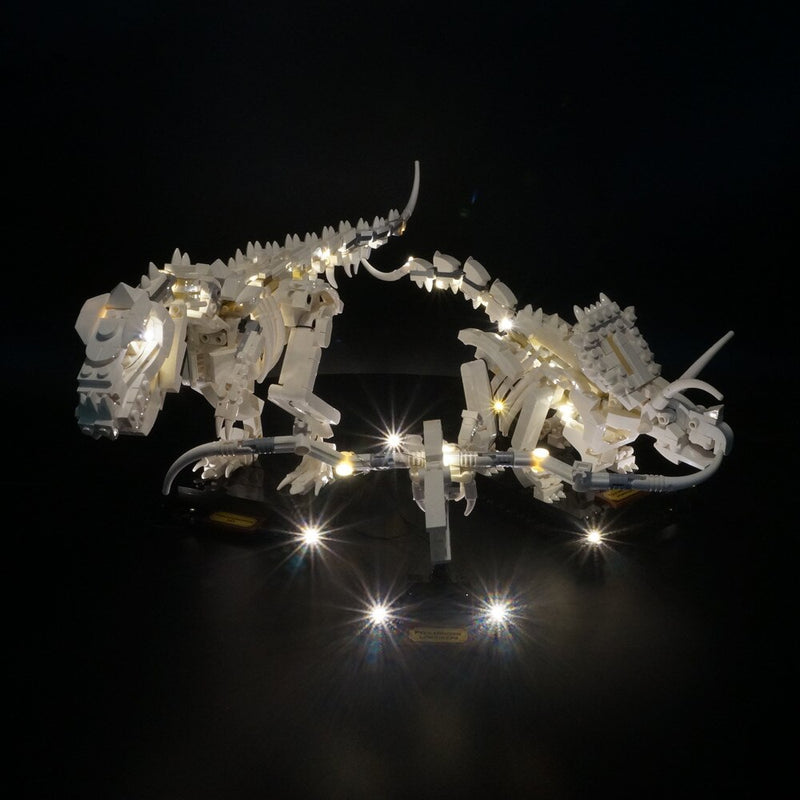 Led Light Kit for Dinosaur Fossils